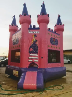 Pink and Purple Princess Bounce House (13W 13 L)